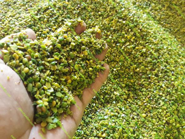 تولید پسته بنه با بهترین کیفیت در ایران